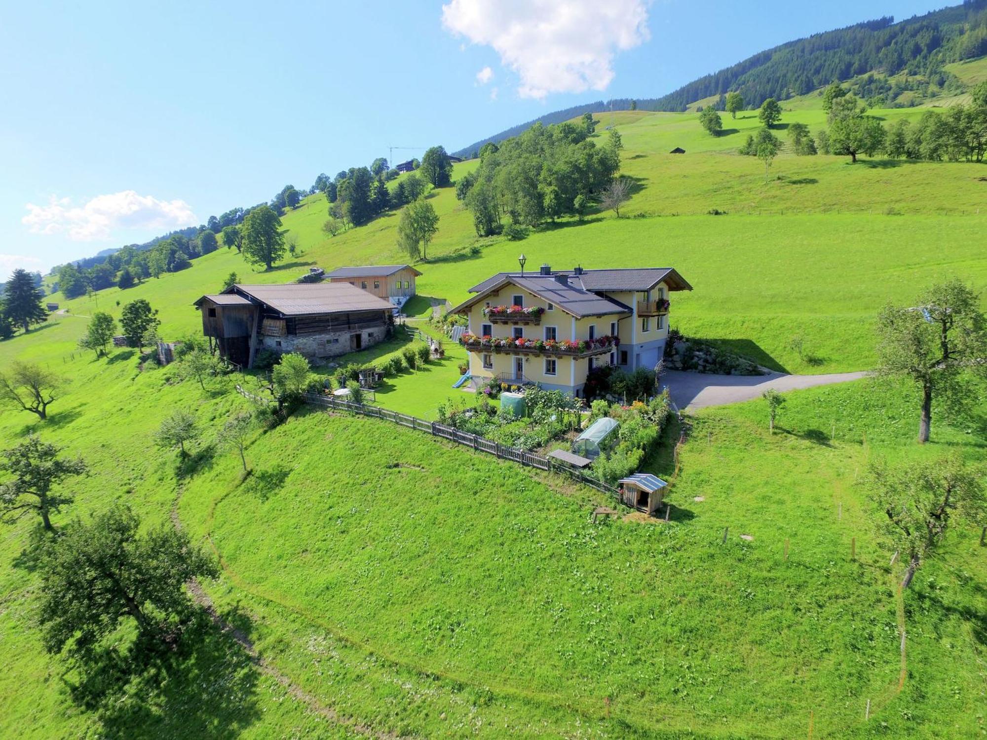 Cosy Holiday Flat In A Farmhouse Taxenbach Exterior photo